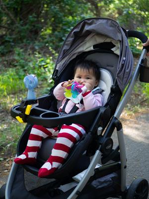 Graco Stroller (Fan, Phone, etc) Attachment System