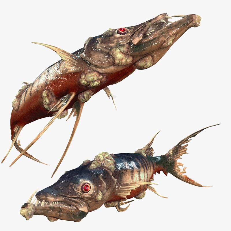 Download Barracuda Fish River water Rigged game ready 3D Model ANIMATED PRINTABLE