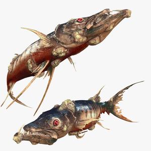 Download Barracuda Fish River water Rigged game ready 3D Model ANIMATED PRINTABLE
