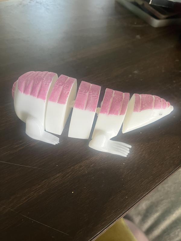 Pink Fairy Armadillo flexi *Commercial License*