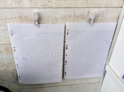 Wall-mounted document clamp