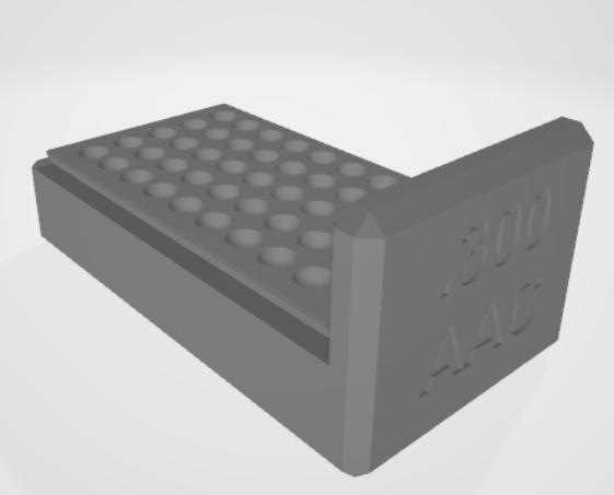 .300 Black out ammo storage box