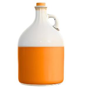 Vintage Growler Jug