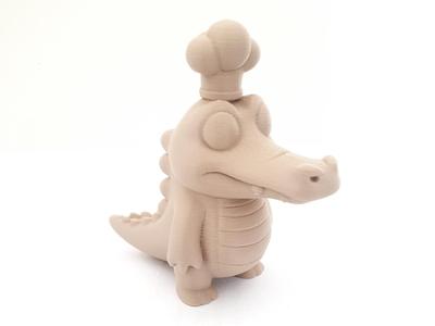 Crocodile Cook