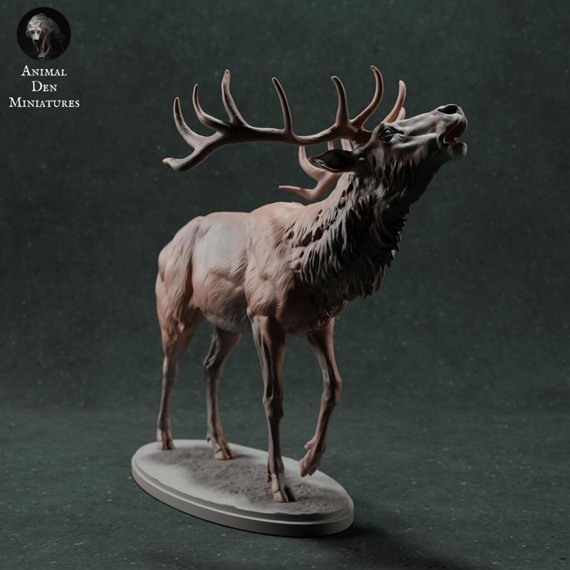 Red Deer Stag Call