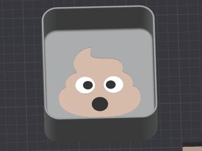 Poo box (poop chute)