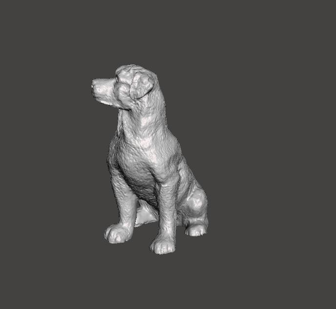 ROTWAILER DOG MASCOT FIGURE