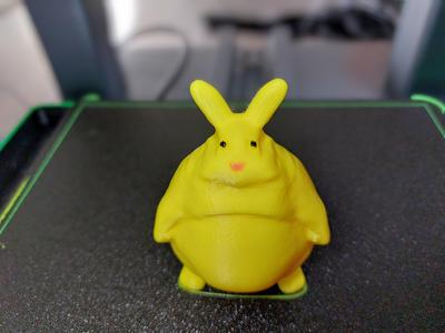 morbidly obese bunny