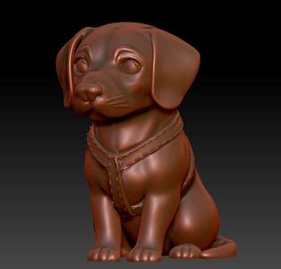 NALA Puppy Dog