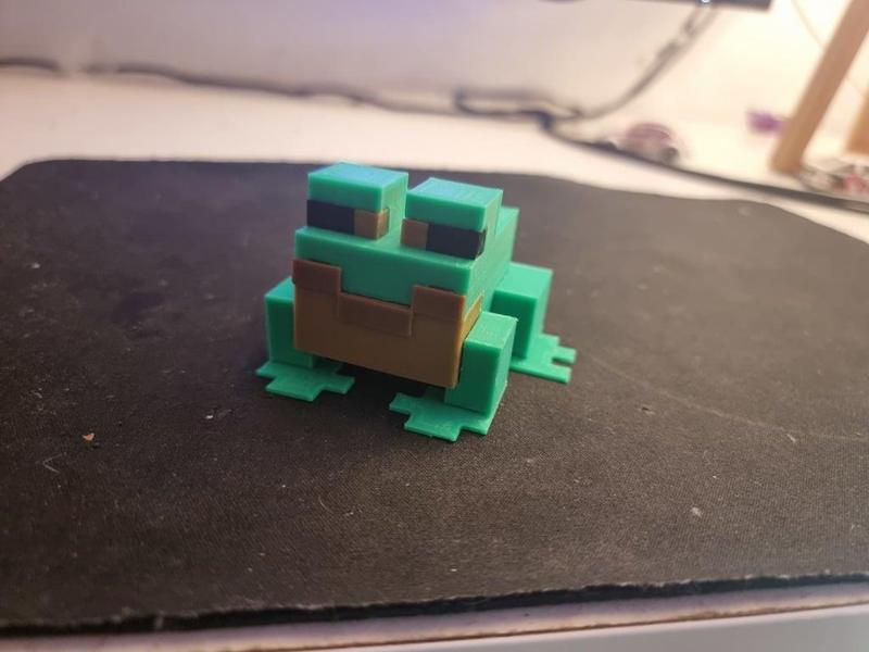 Minecraft Frog
