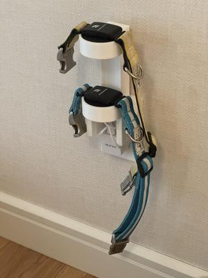 Fi Dog Collar Lutron Outlet Mount