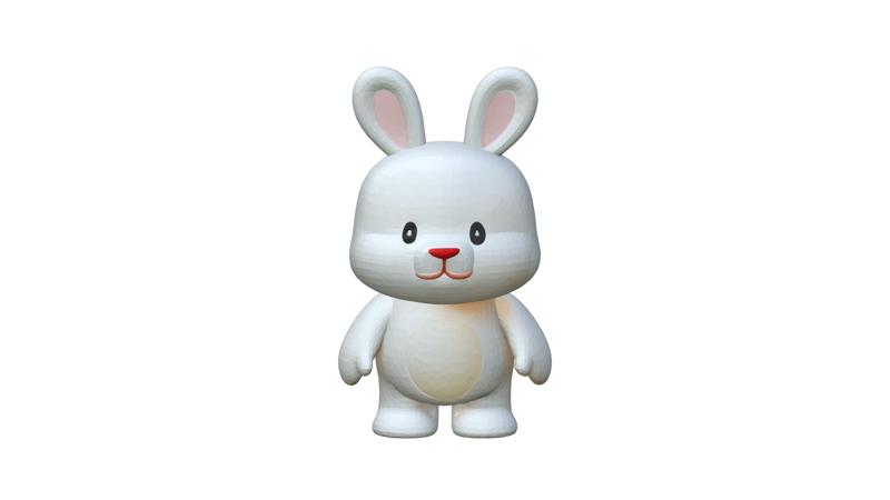 Rabbit Bunny