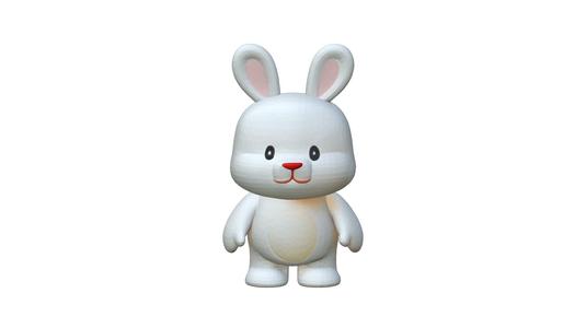 Rabbit Bunny