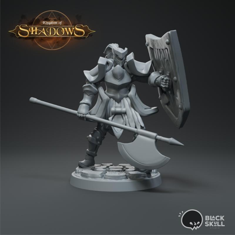 Bedivere P1 - Knight