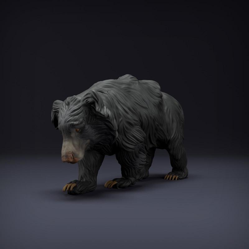 Sloth Bear