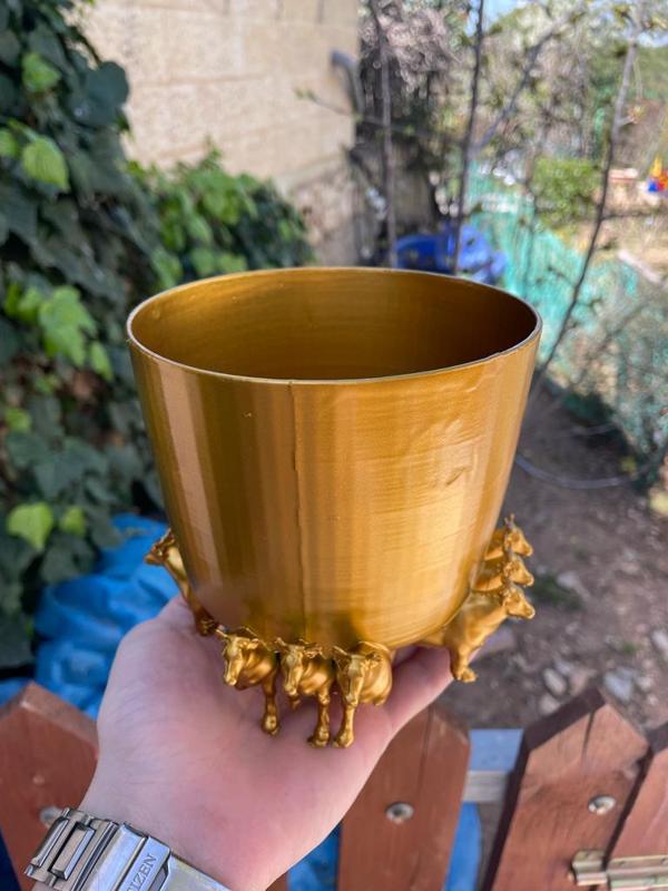 Solomon’s Temple Basin Cup