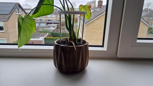 plant support stand/cage