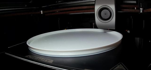 Plants Pot Dish 200mm