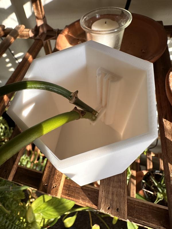 Starter planter cup