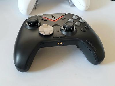 Flydigi Vader 3 Pro Aesthetic Mod