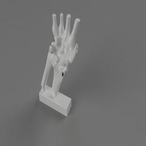 Human Wrist CT scan