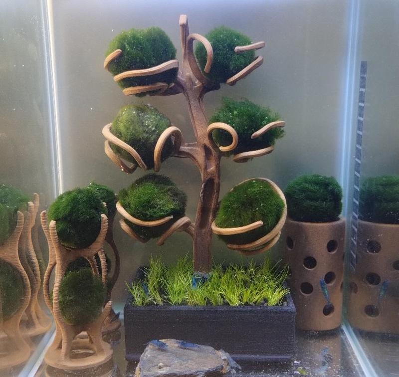 MARIMO TREE for moss balls (shrimps tree) + marimo stand