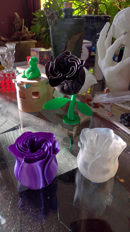 Stem for the vase mode rose