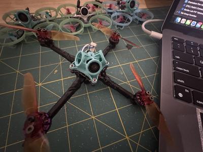 toothpick pinch mount 30degree remix/heavy duty tiny whoop pinch mount