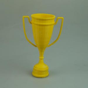 Trophy_01