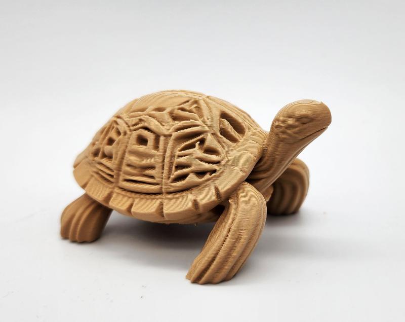 Wood-Carved Tortoise