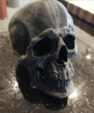 Halloween Skull