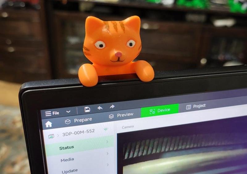 Hanging cat with longer arms