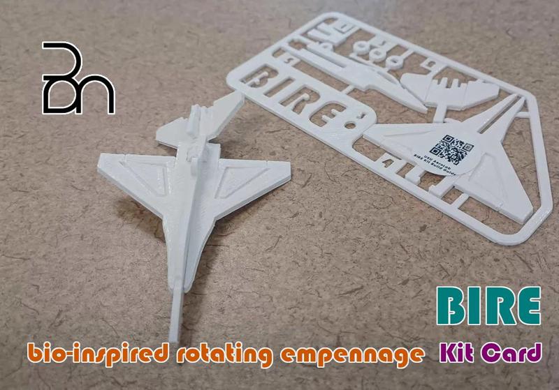 BIRE Aircraft Kit Card
