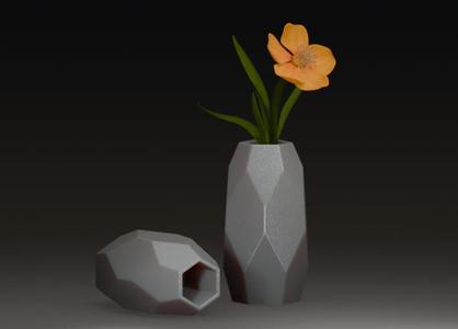 Perfect Geometric Vase