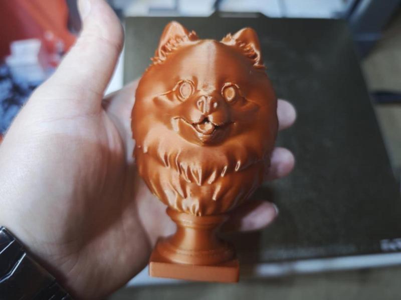 Pomeranian Bust