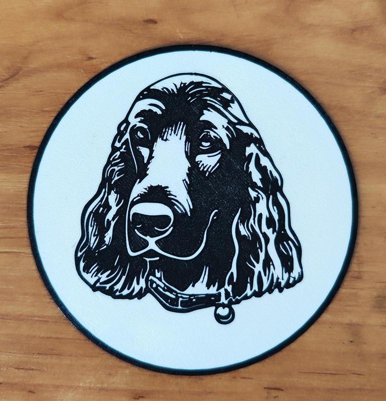 Coaster Spaniel dog