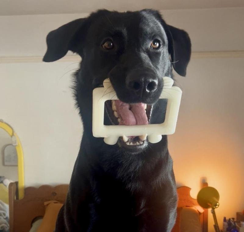 Canine TV (Tooth Vision)