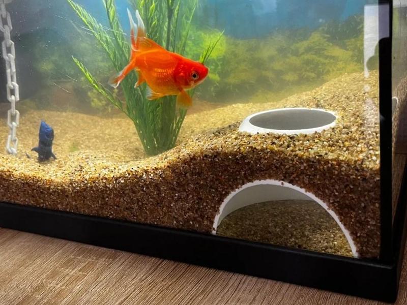 Fish tank underground hiding cave