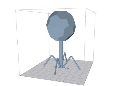 Bacteriophage