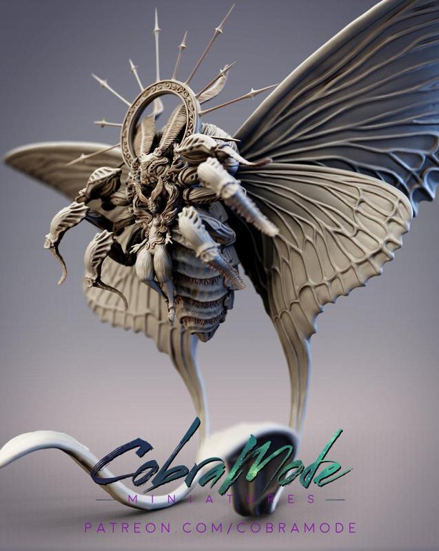 Psilomonedes, Noctuoidea Moth Pontifex (Pre-Supported)