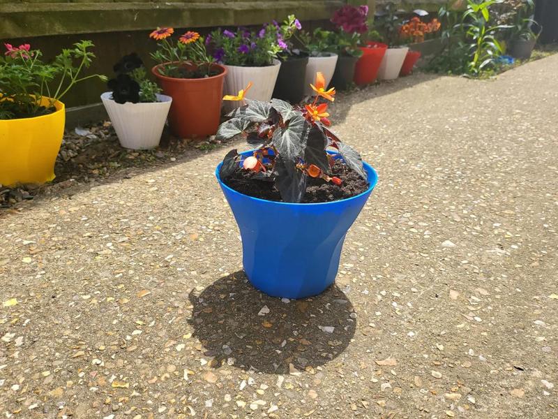 Dodecahedron flower pot   