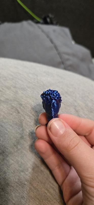 Jmancurly Croc Charm/Jibit