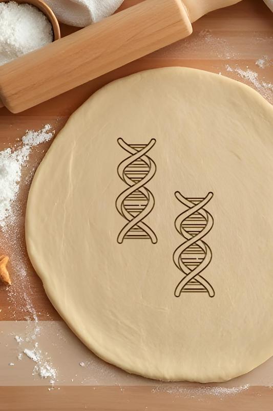 DNA Cookie Cutter, Biscuit Cutter