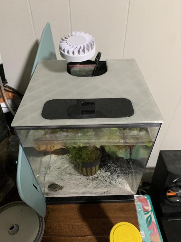 Small Fish Tank Lid