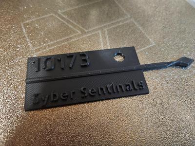 FRC 10173 the "Syber Sentinals" keychain
