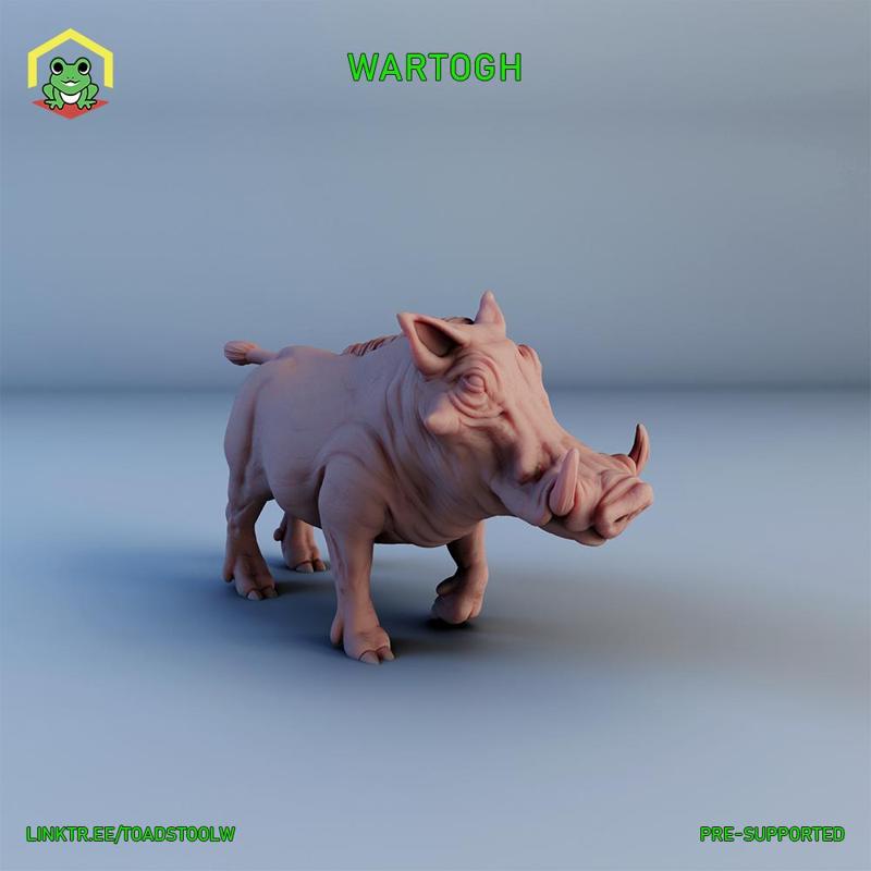 Wartogh