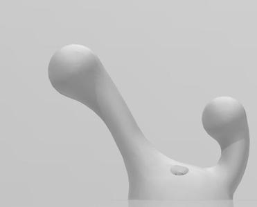 Double Coat Hook