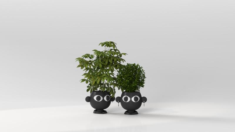PLANTER - COUPLE POTS 