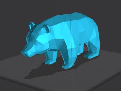 poly Bear 