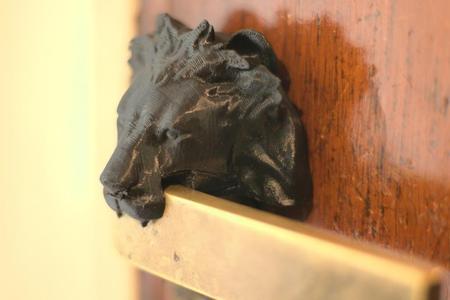 Lion door knob ornament